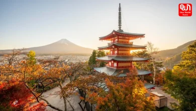 Japan Travel Tips
