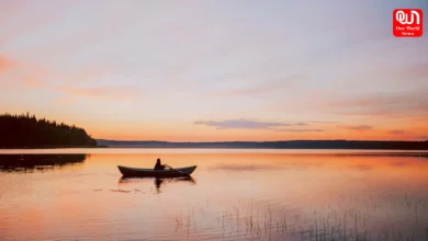 Midnight Sun
