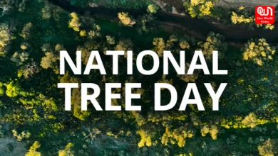 National Tree Day