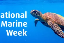 National marine week