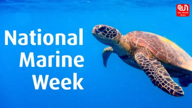 National marine week