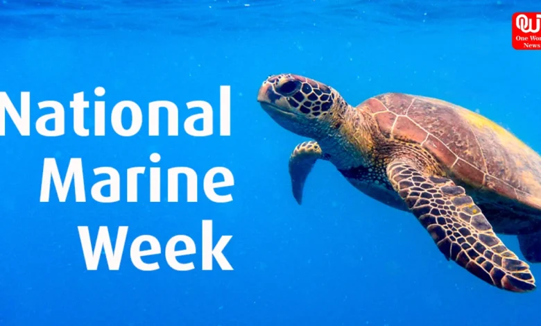 National marine week