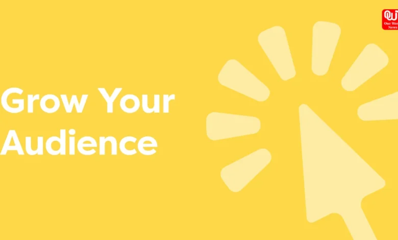 Online Audience
