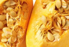 Pumpkin Seeds