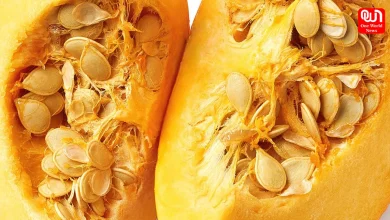 Pumpkin Seeds