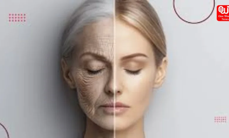 Skin Longevity