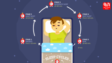 Sleep Cycles
