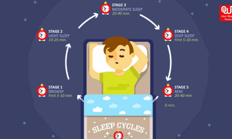 Sleep Cycles