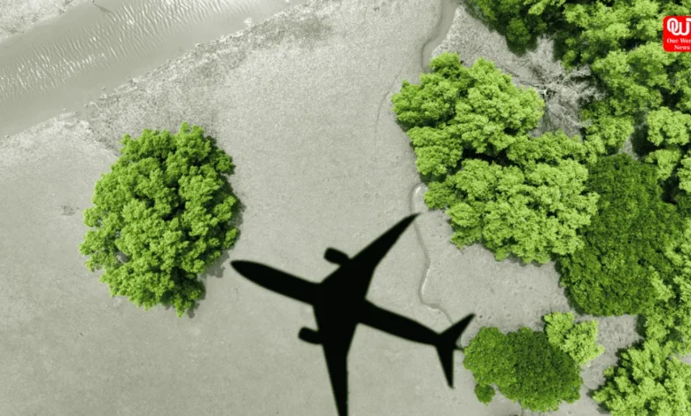 Travel Green
