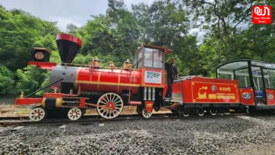 Van Rani Toy Train