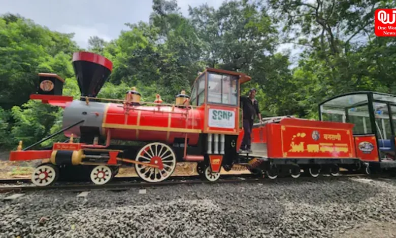 Van Rani Toy Train