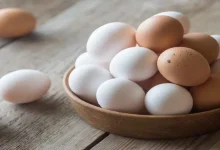 White Eggs Vs Brown Eggs