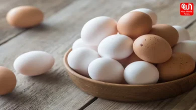 White Eggs Vs Brown Eggs