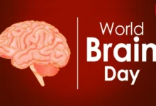 World Brain Day