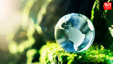 Zero Waste Travel