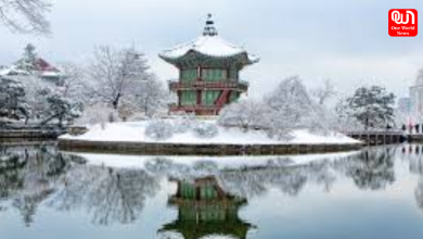 winter travel tips to korea