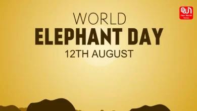 World Elephant Day