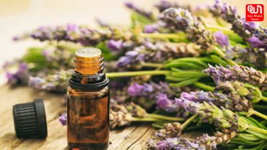 Essential Oils