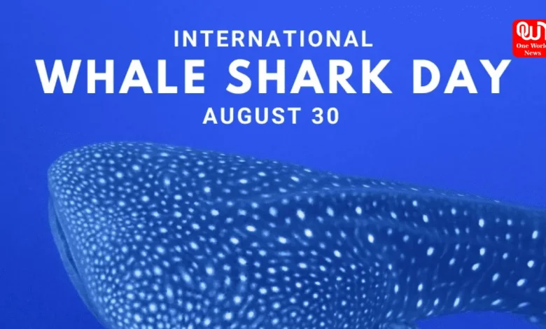 International Whale Shark Day