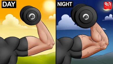 Morning vs Evening Workouts