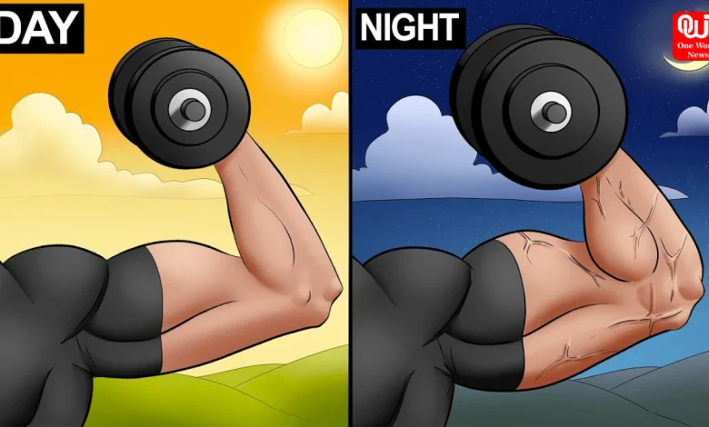 Morning vs Evening Workouts