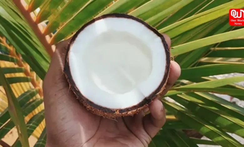 National Coconut Week