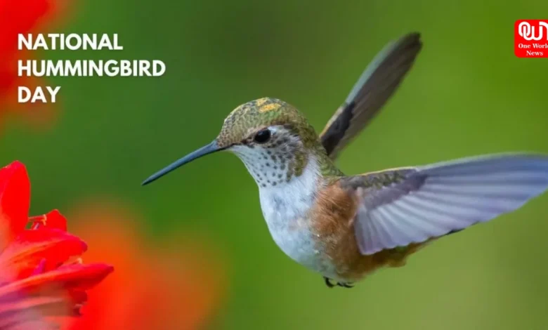National Hummingbird Day