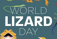 World Lizard Day