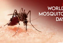 World Mosquito Day