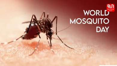 World Mosquito Day