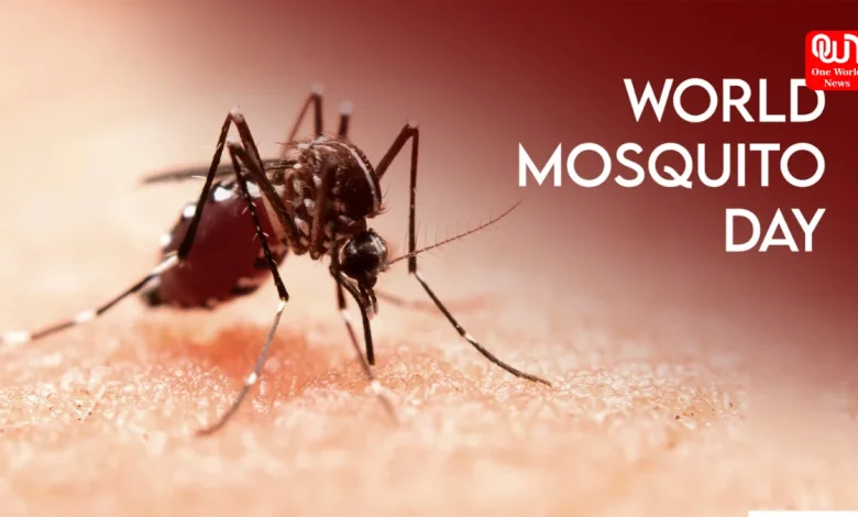 World Mosquito Day