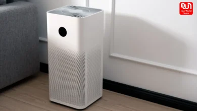 Air Cleaner