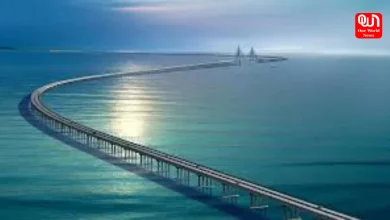 Longest Bridges In the World