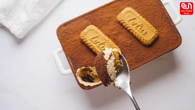 Lotus Biscoff vs Tiramisu