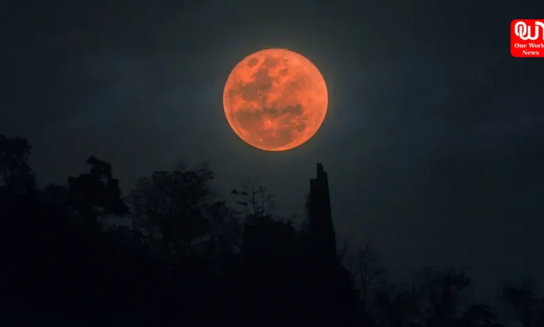 Lunar Eclipse 2025