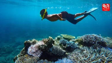 Secret Snorkeling Spots