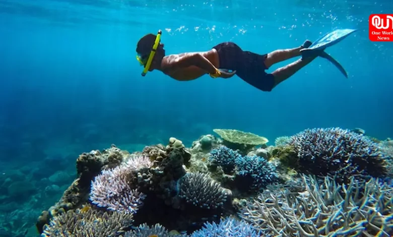 Secret Snorkeling Spots