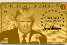 Trump Gold Card