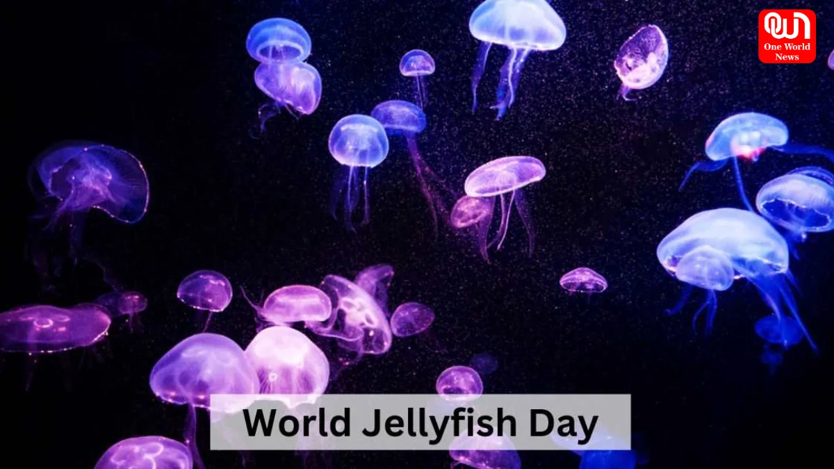 Jellyfish Day