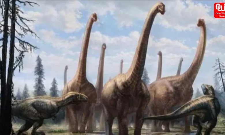 Long Neck Dinosaurs