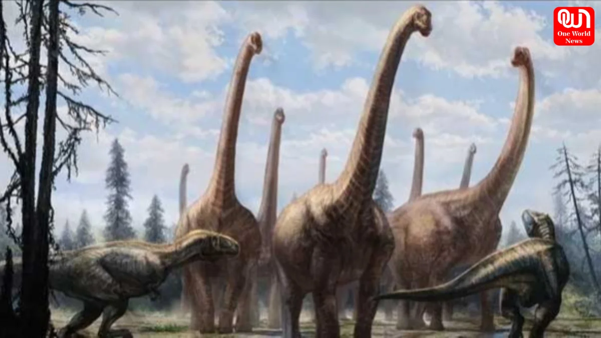 Long Neck Dinosaurs