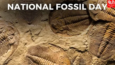 National Fossil Day