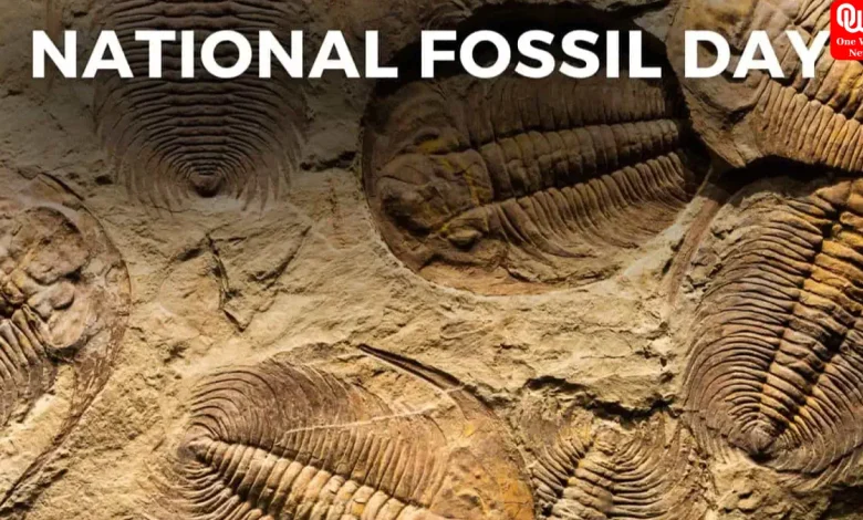 National Fossil Day