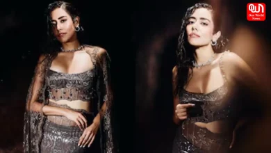 Jonita Gandhi Silver Outfit Diwali Bash