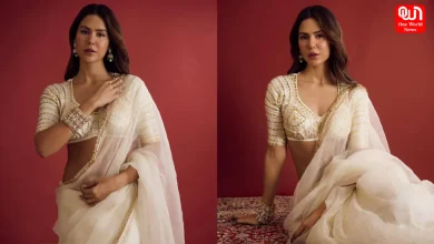 Sonam Bajwa, Grace In An Off-White Saree