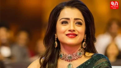 Trisha Marry Soon, Chandigarh Businessman