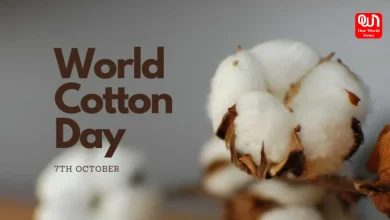 World Cotton Day