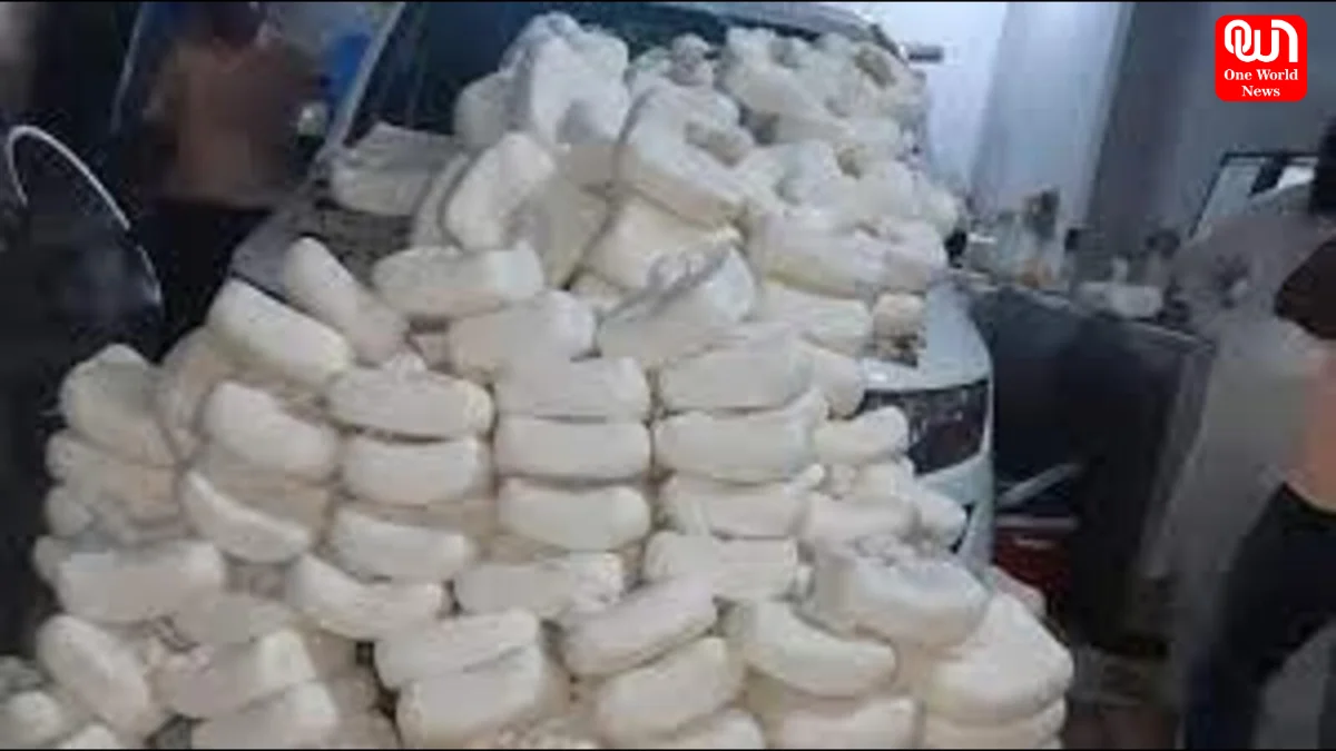 fake paneer