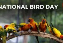 National Bird Day