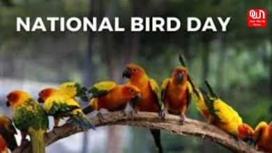 National Bird Day
